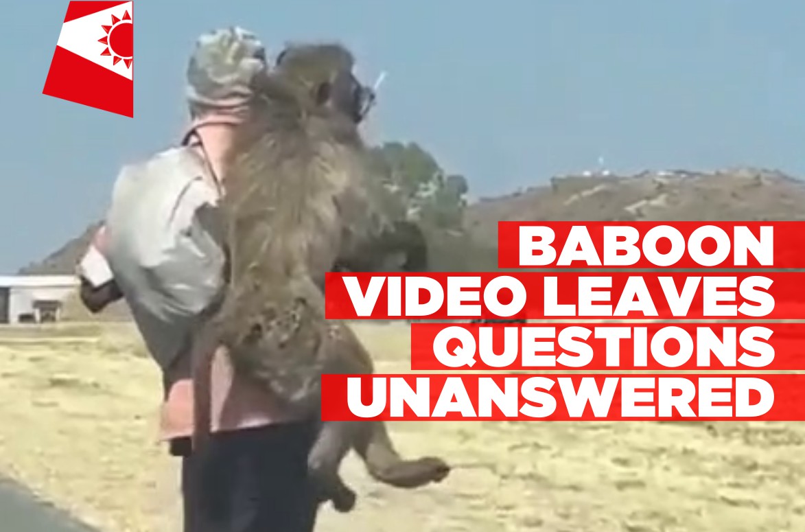 Baboon video leaves questions unanswered