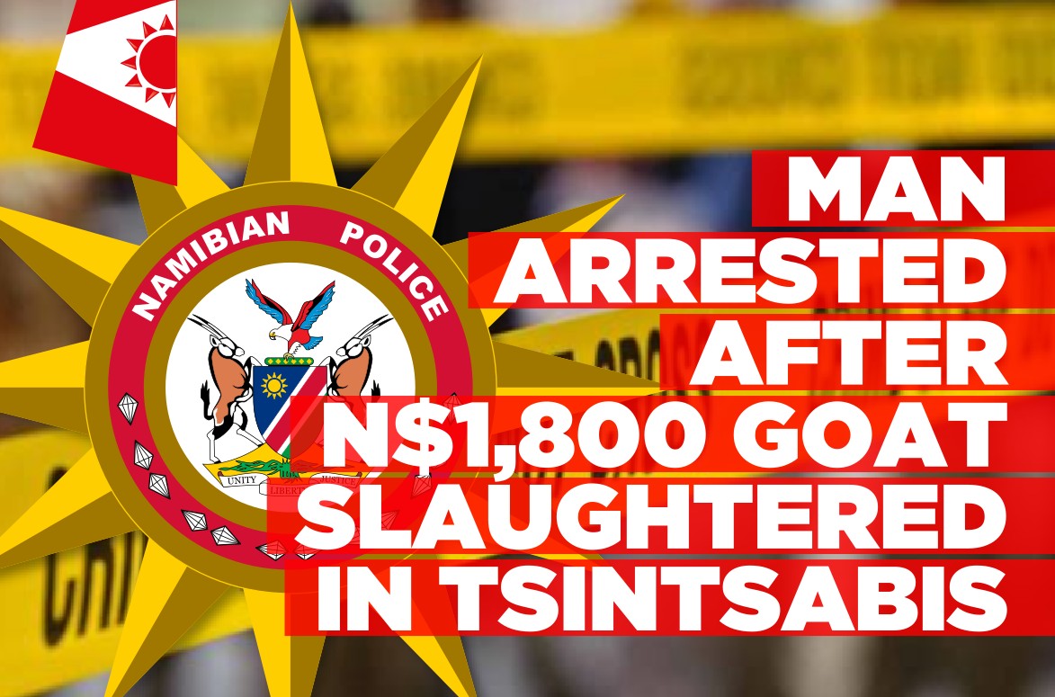 27-year-old arrested over alleged goat theft in Tsintsabis