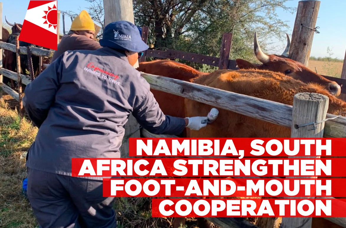 South Africa says foot-and-mouth disease under control as Namibia strengthens safeguards