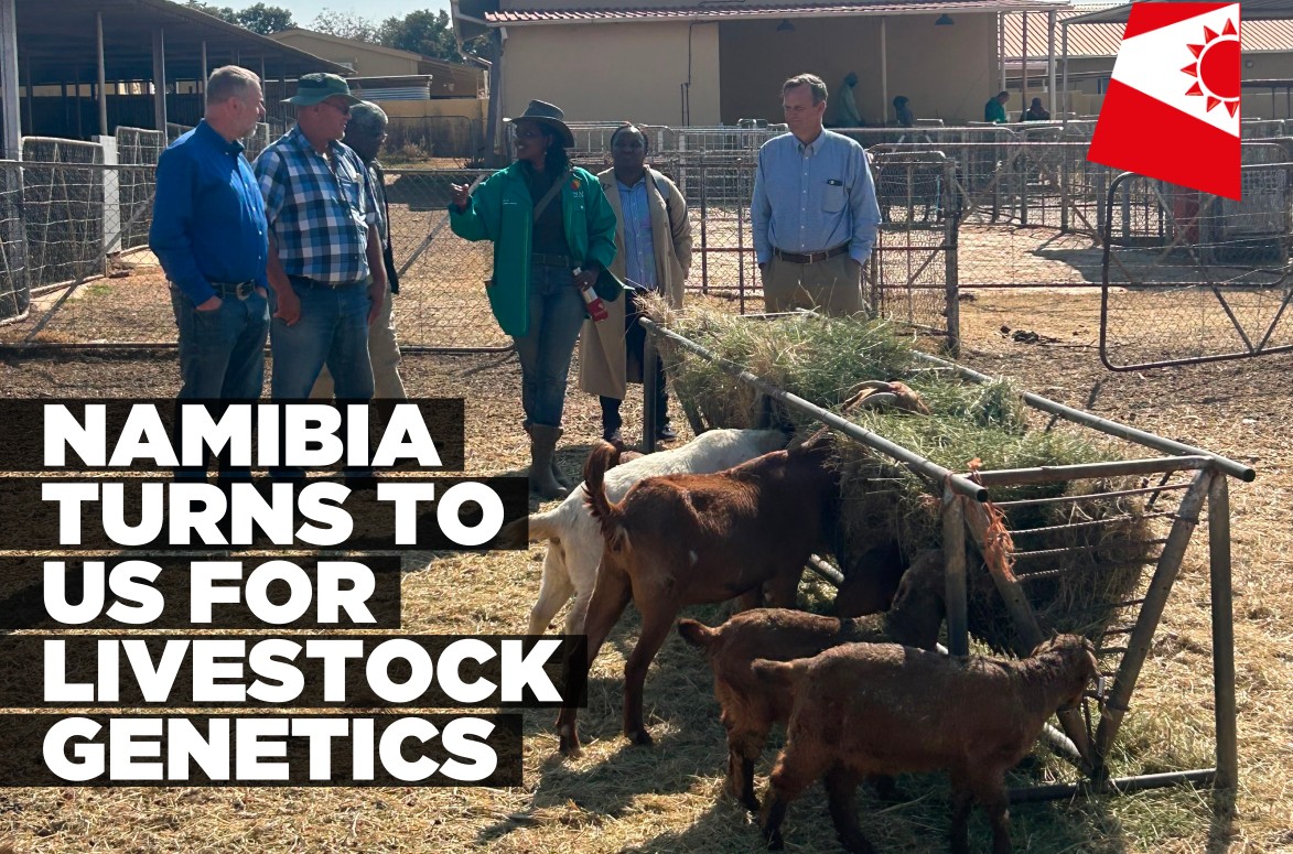 Namibia, US explore livestock breeding partnership amid disease pressures