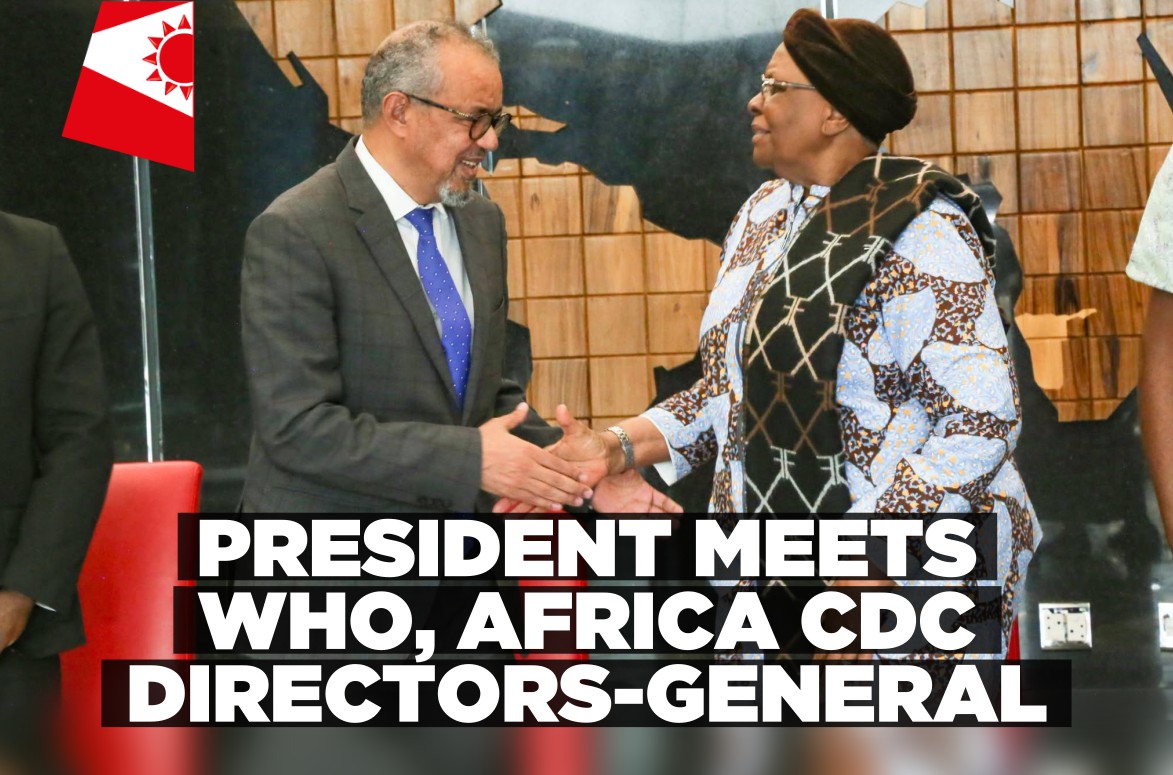 Namibia hosts top African and global health leaders at State House