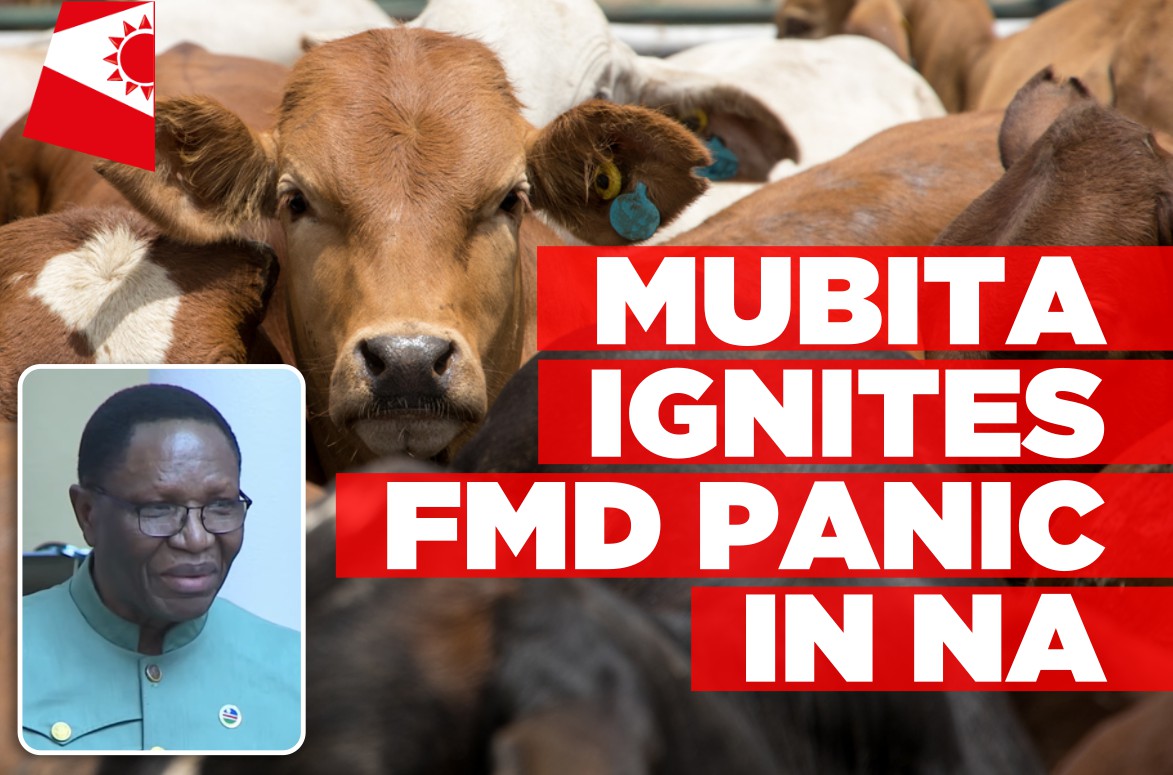 FMD detected in Namibia’s disease-free zone