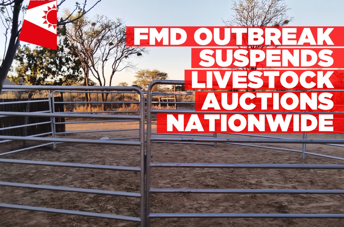 FMD outbreak halts livestock auctions nationwide