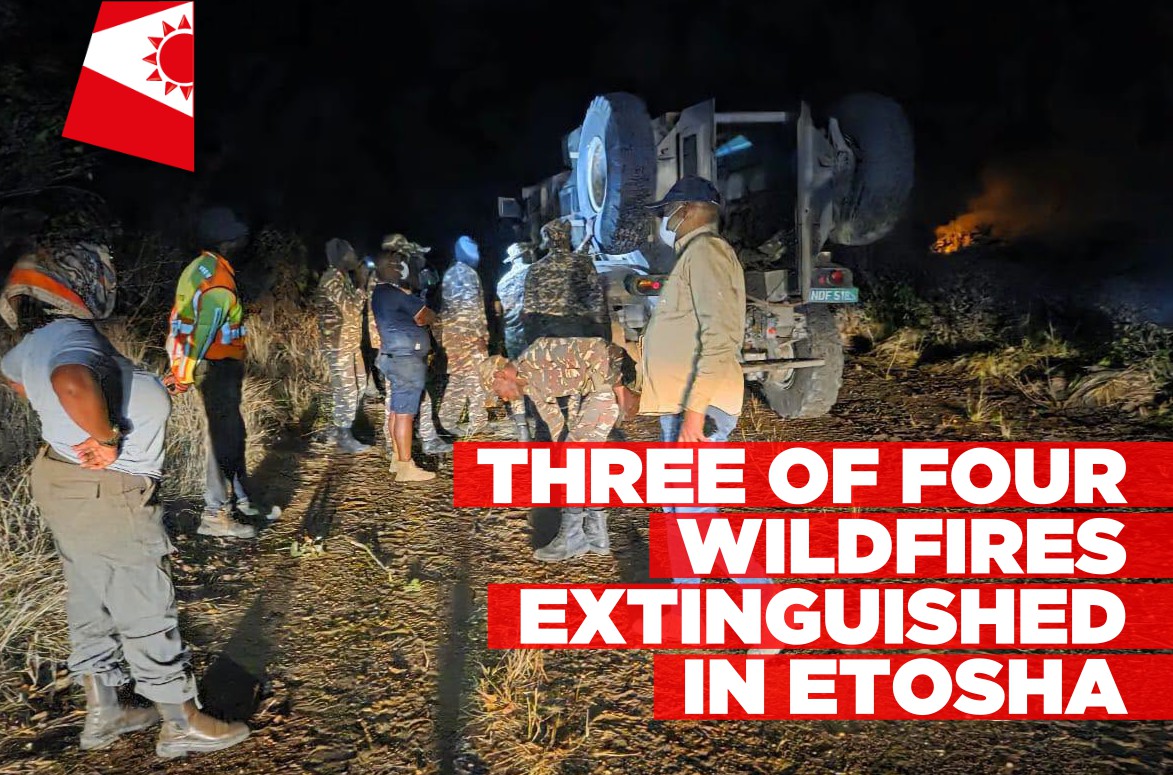 Firefighters extinguish three of four fires in Etosha