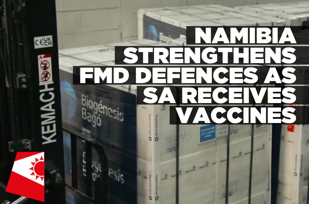 Namibia moves to strengthen FMD safeguards as South Africa secures more vaccines