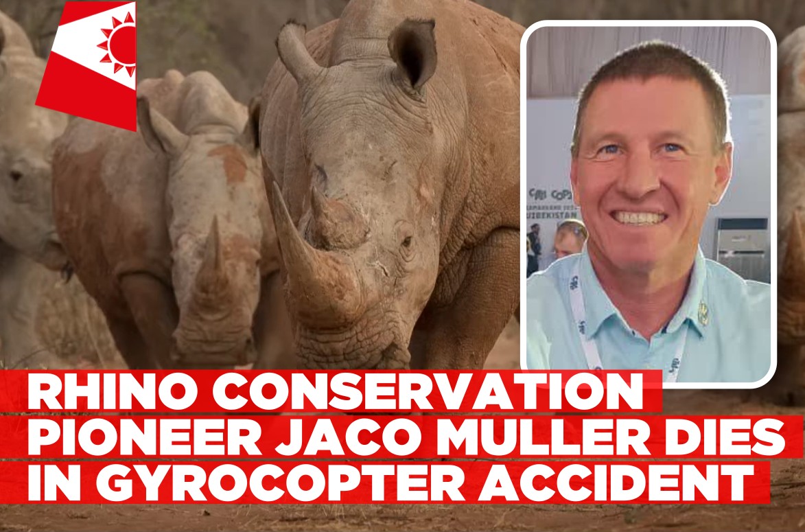 Rhino conservationist Jaco Muller dies in gyrocopter crash
