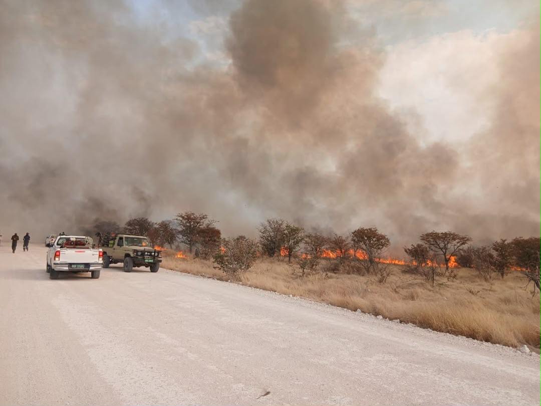Lightning sparks wildfires in Etosha National Park