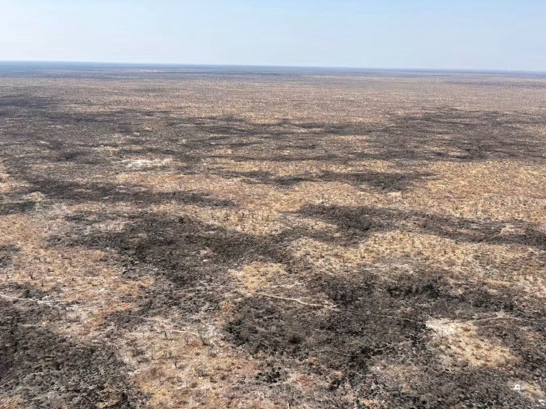 Over 2,500 square kilometres affected by Etosha wildfires