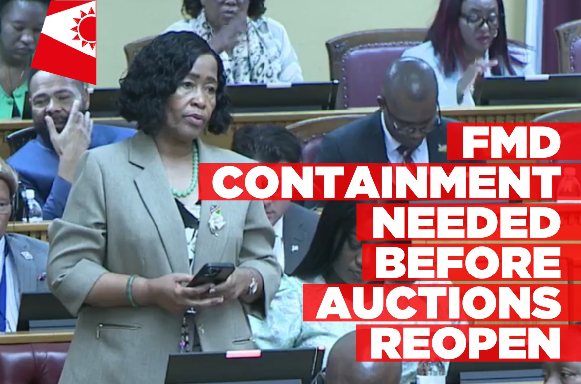 FMD auctions could resume after outbreak contained