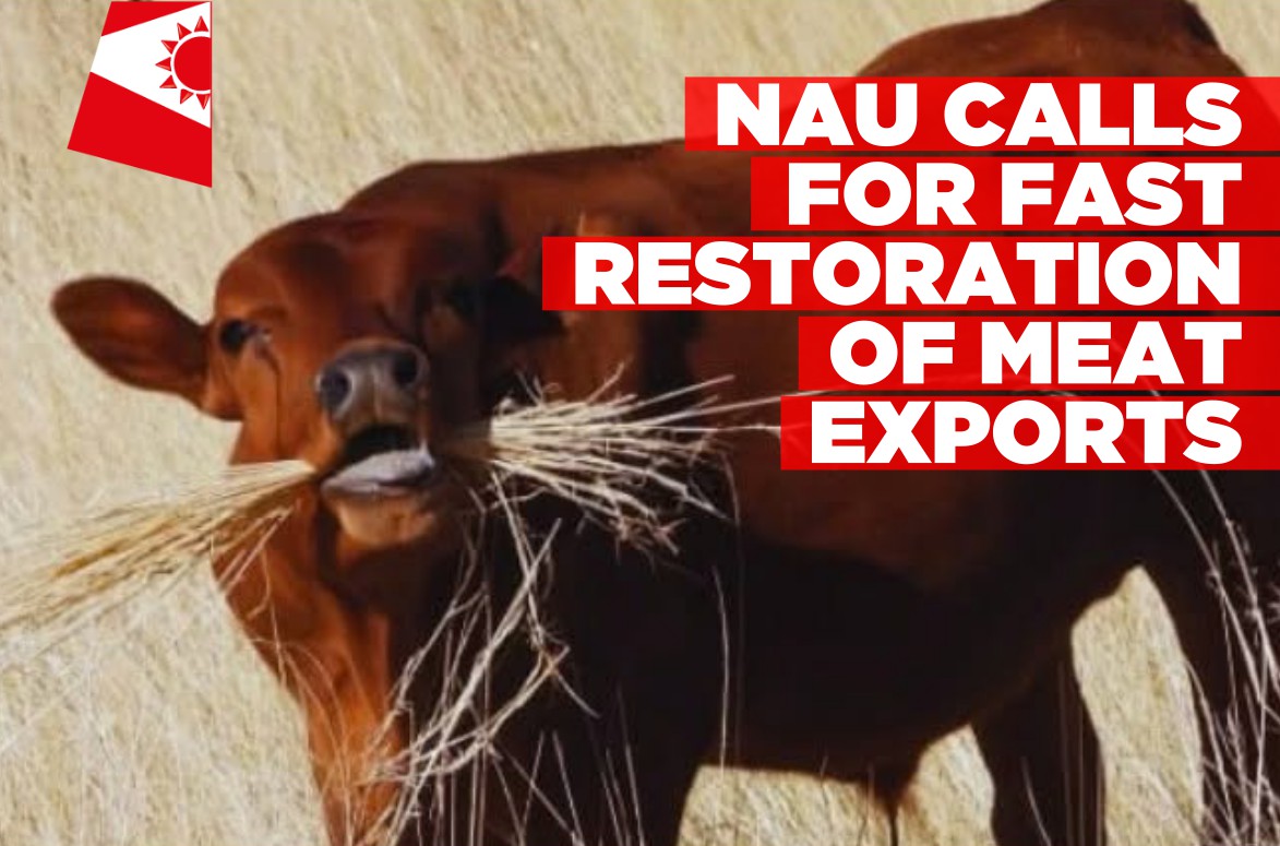 Namibia Agricultural Union urges swift action to restore meat export markets
