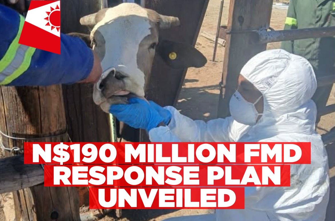 Namibia needs N$190 million to contain FMD outbreak in //Kharas