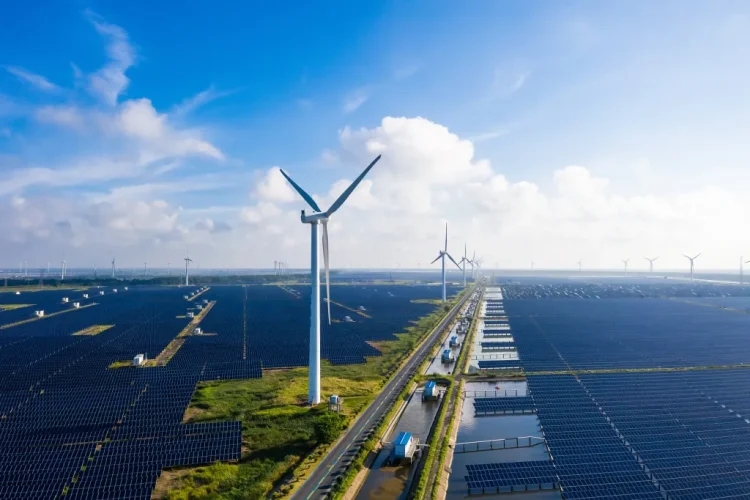 Economic Watch: CISCE, where China’s clean energy supply chain enables world’s green dream