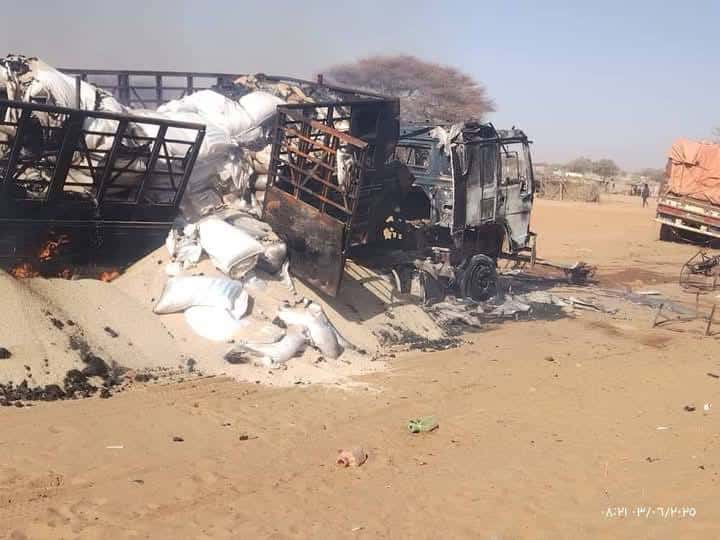 Ambush on South Sudan aid convoy kills 17