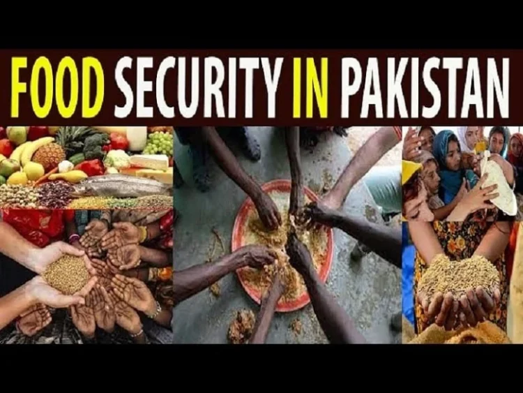 Pakistan pursuing comprehensive strategy to strengthen food security, food safety