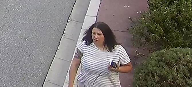 Interpol issues red notice for ukrainian woman suspected in Monaco blast