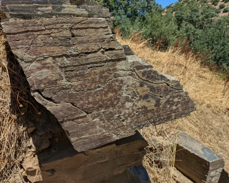 Archaeologists discovers 23,000-year-old rock engravings at Portugal’s Coa Valley