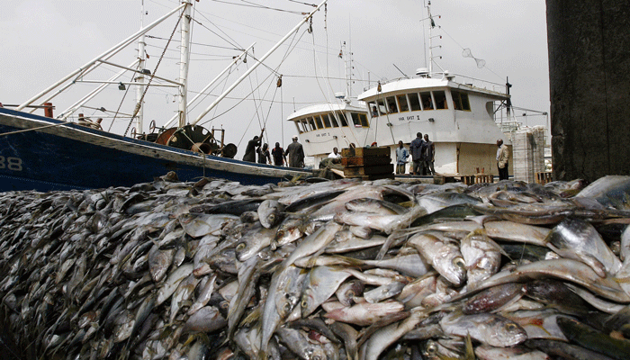China slams U.S. malicious suppression of its distant-water fisheries