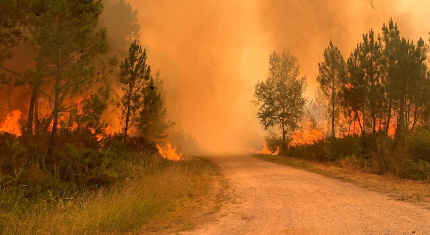 Early heatwave leaves deadly toll, fuels widespread wildfires across Europe