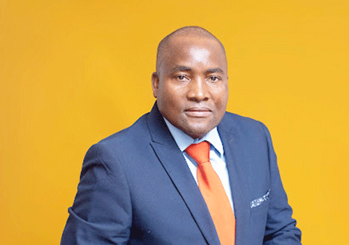 Opinion – Spotlight on Shark Island