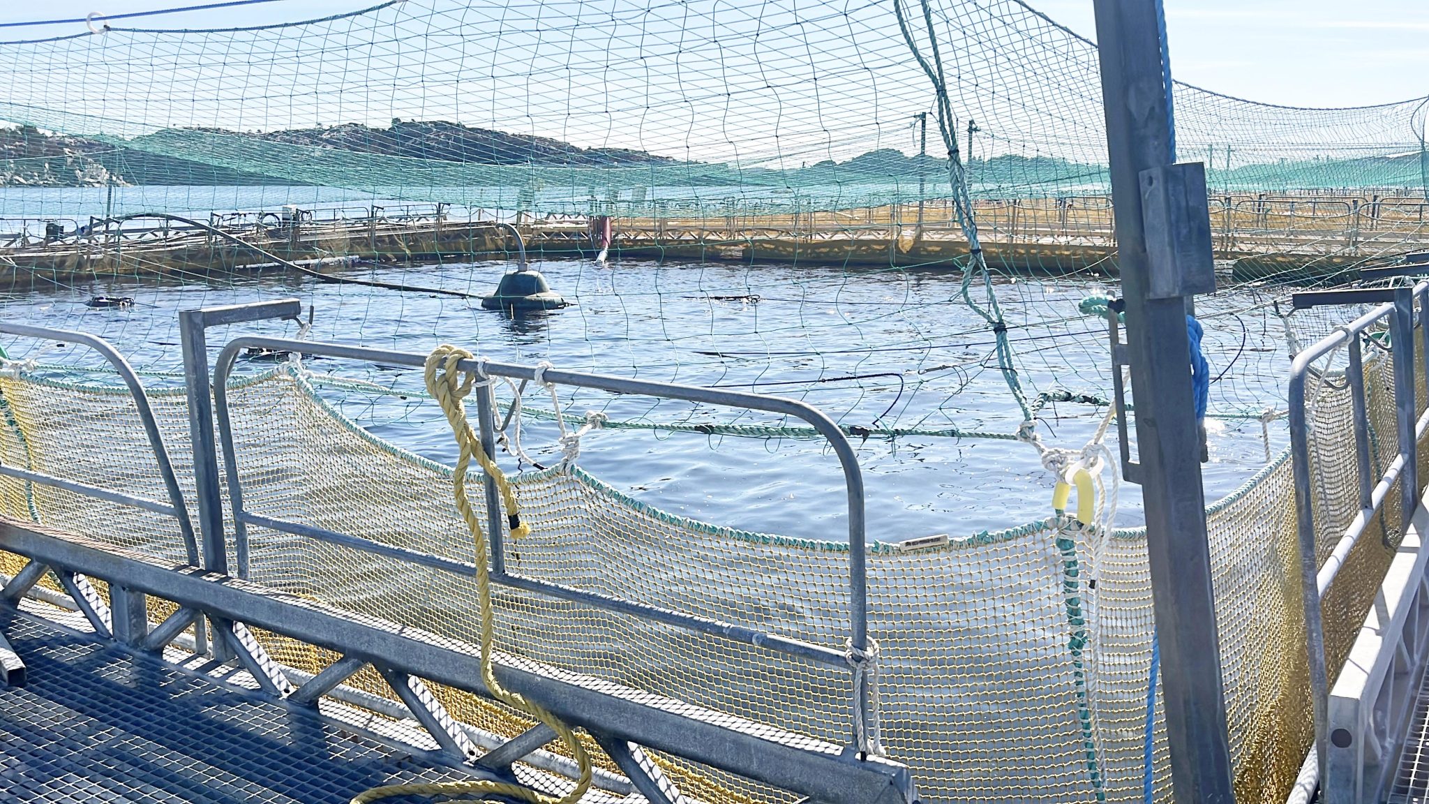 Aquaculture key to food security