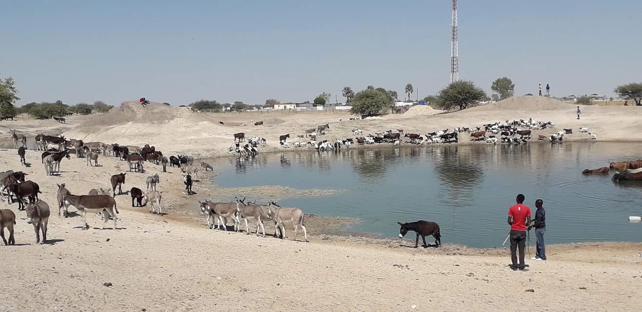 Omatale a pwiinina omeva konooli … ovanafaalama va taalela oshikukuta