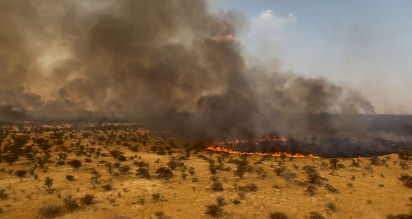 Fires ravage1.2m hectares