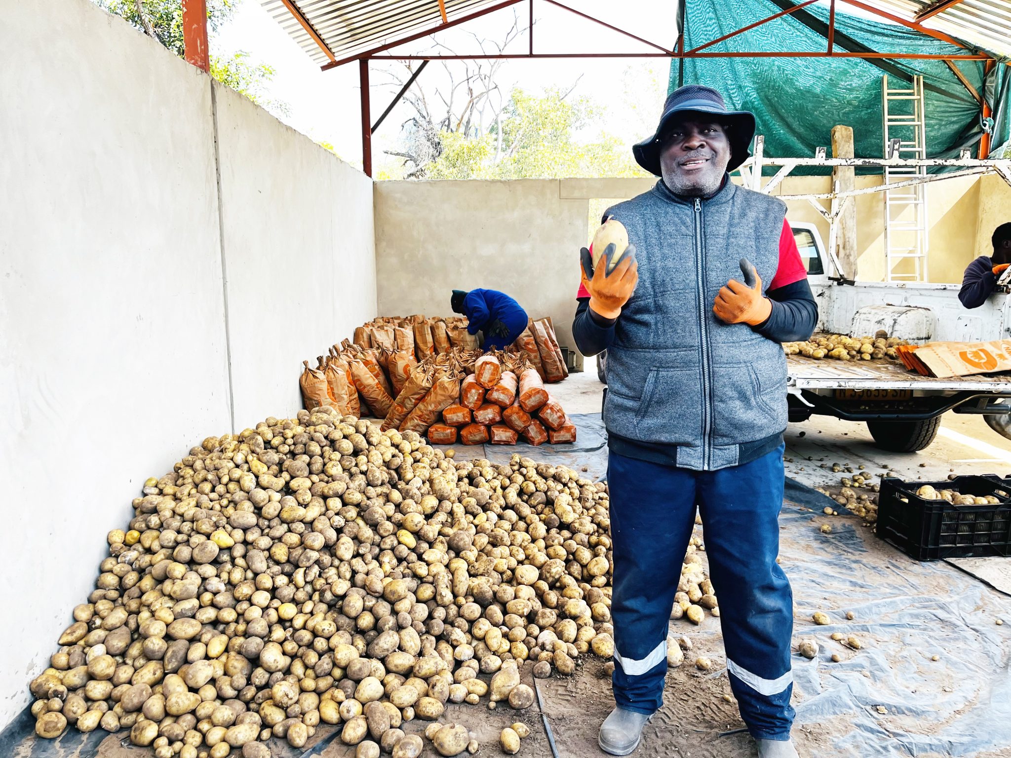 Shikongo’s garden tackles food security, jobs