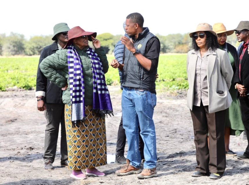 NNN a hafa eshi oikunino tai xumu komesho moshilongo