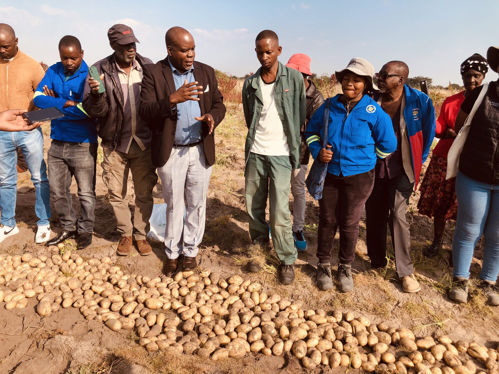 Halapembe records first potato harvest …strives for food security