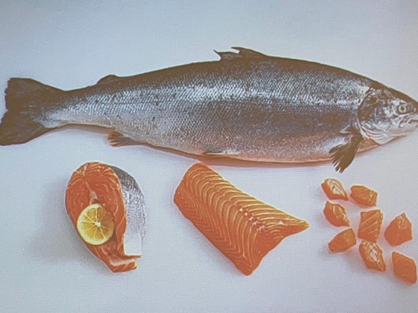 Salmon investment…