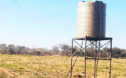Ombelewa yomupilima yapewa edu lokukuna eembudufukwa