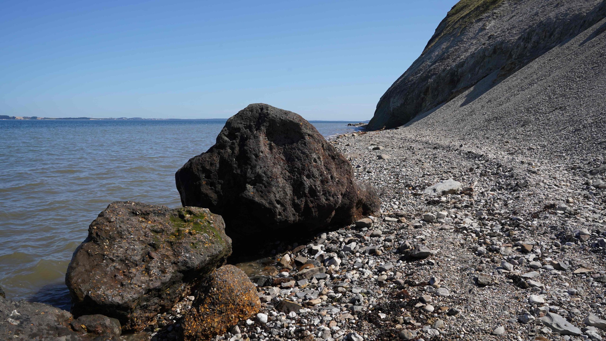 Danish fish fossil cliffs set to gain UNESCO status