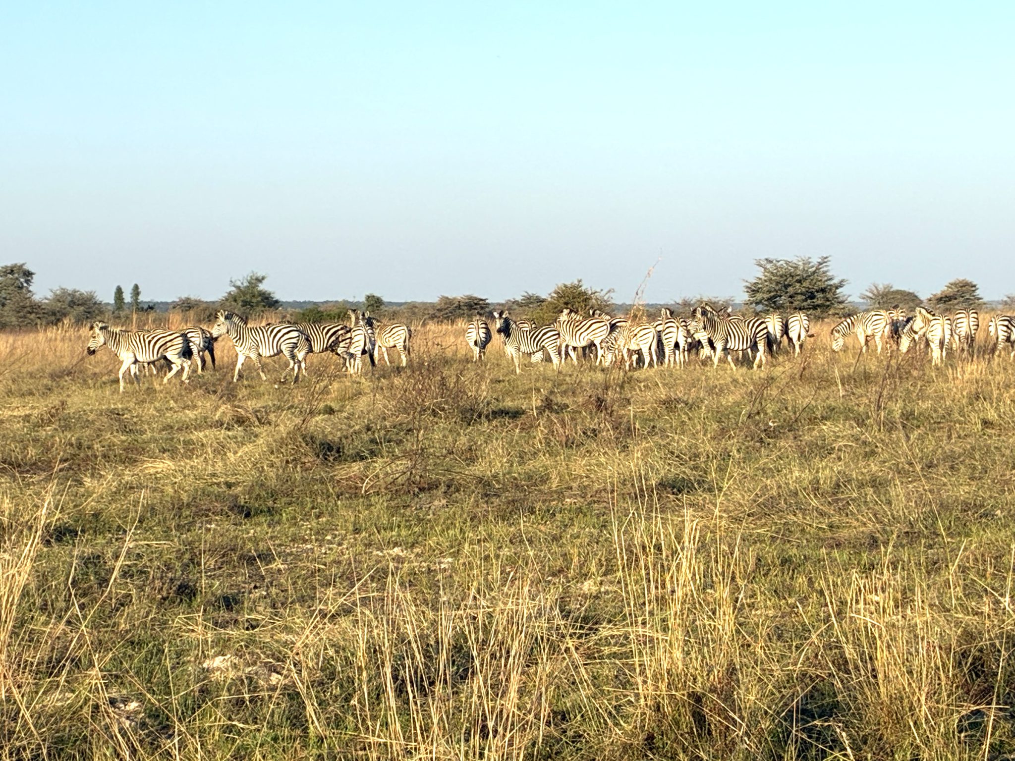 Where people and giants share the land: The remarkable story of Nankomba