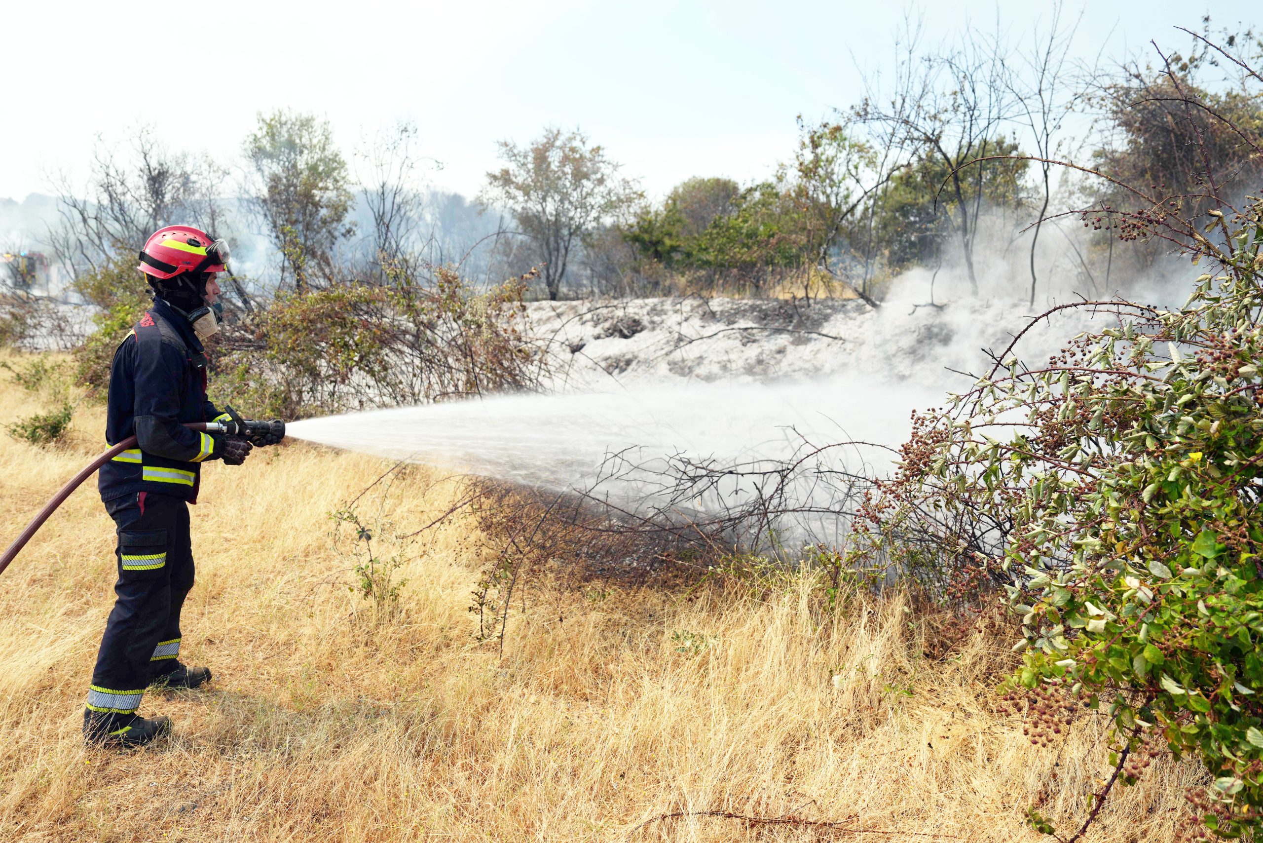Wildfires overwhelm exhausted firefighters in France and Spain