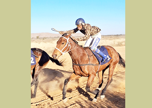 Racehorses ready for Gobabis Challenge Cup