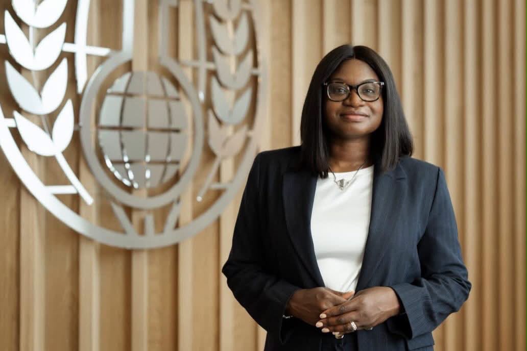Namibia leads chemical weapons organisation