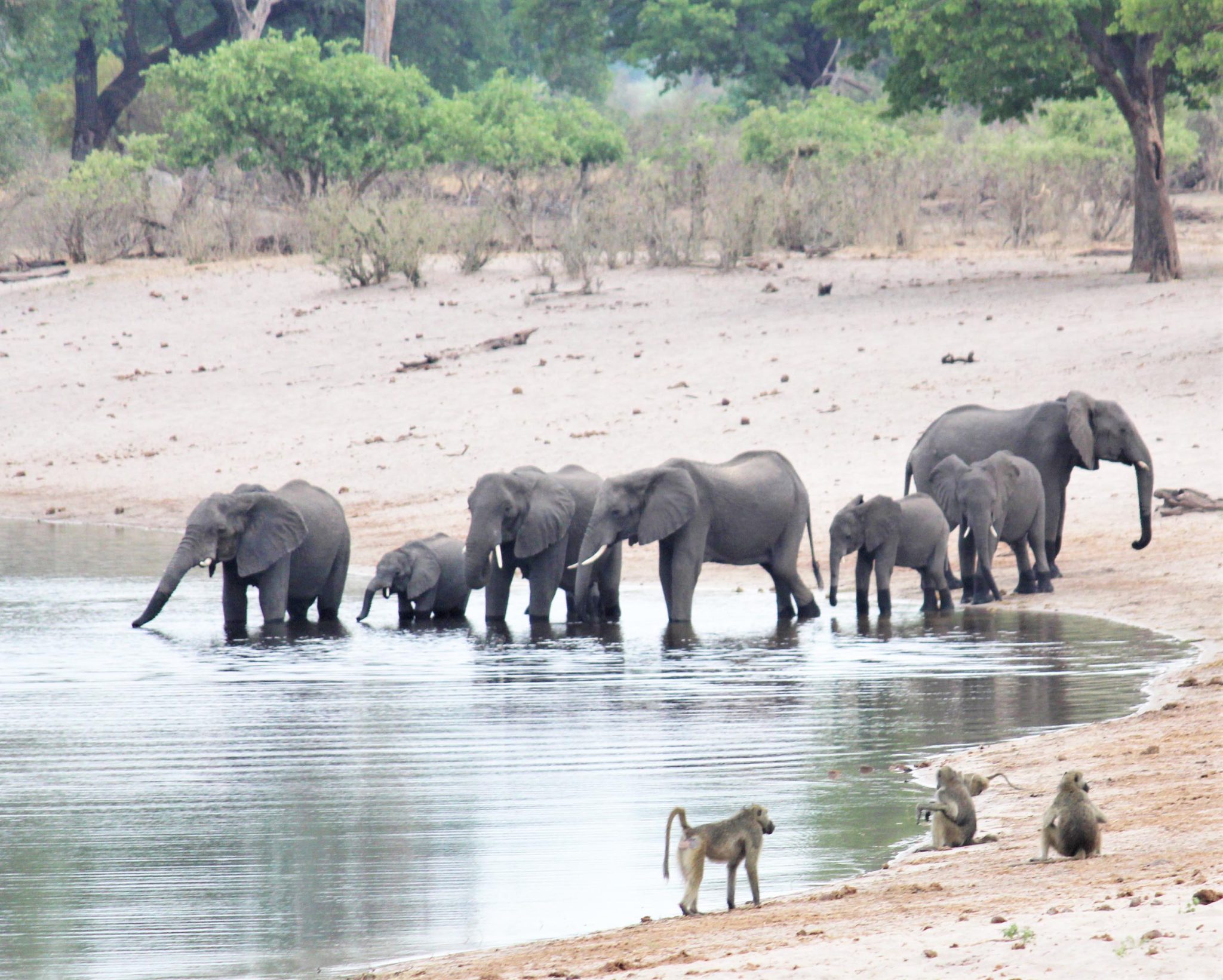 Khwe call for stricter enforcement in Bwabwata
