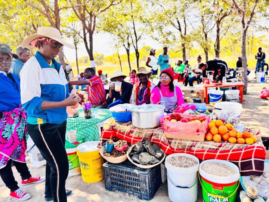 DAPP market day unites Omusati farmers