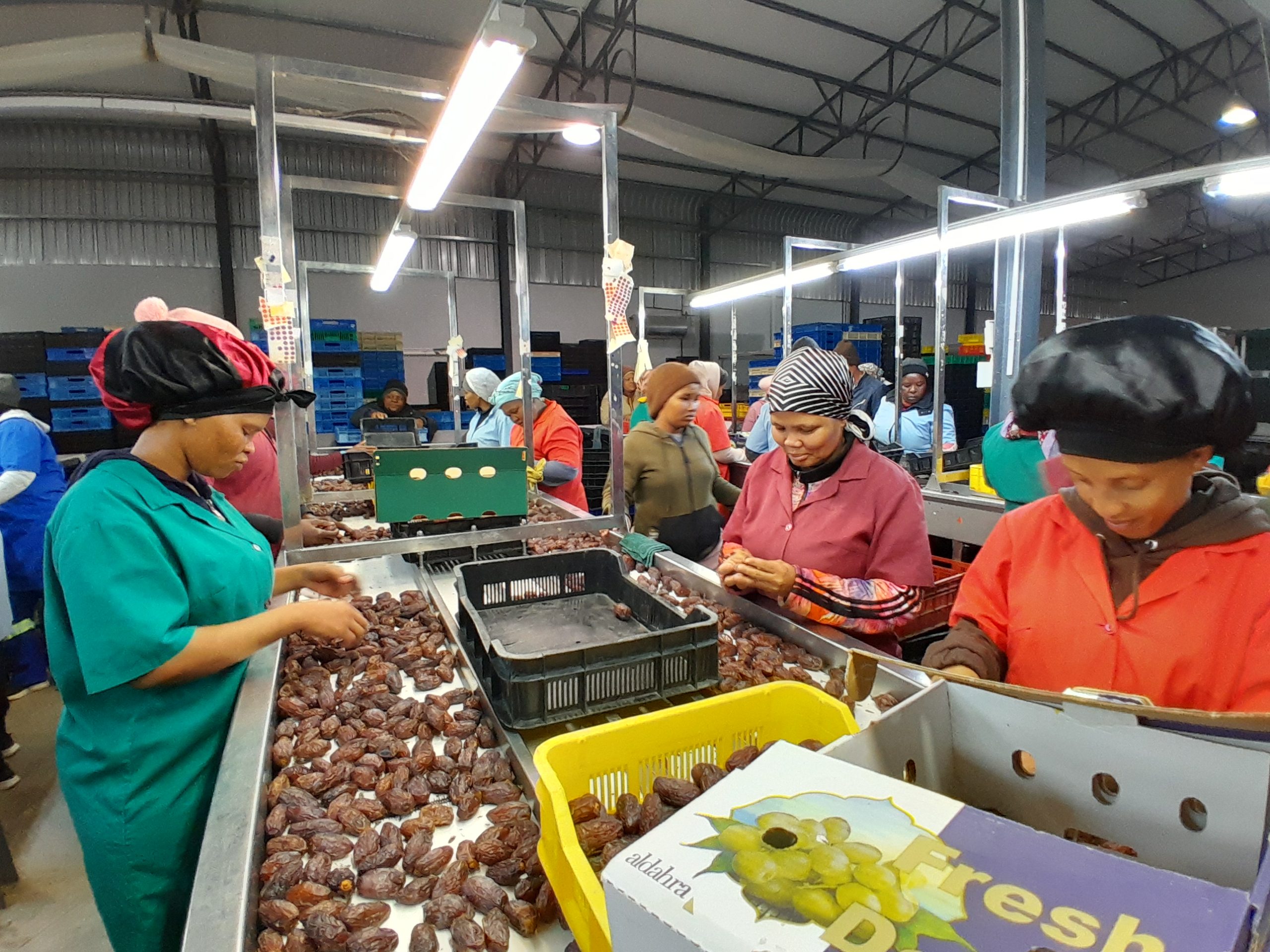 Naute workers bemoan delayed salaries, working conditions