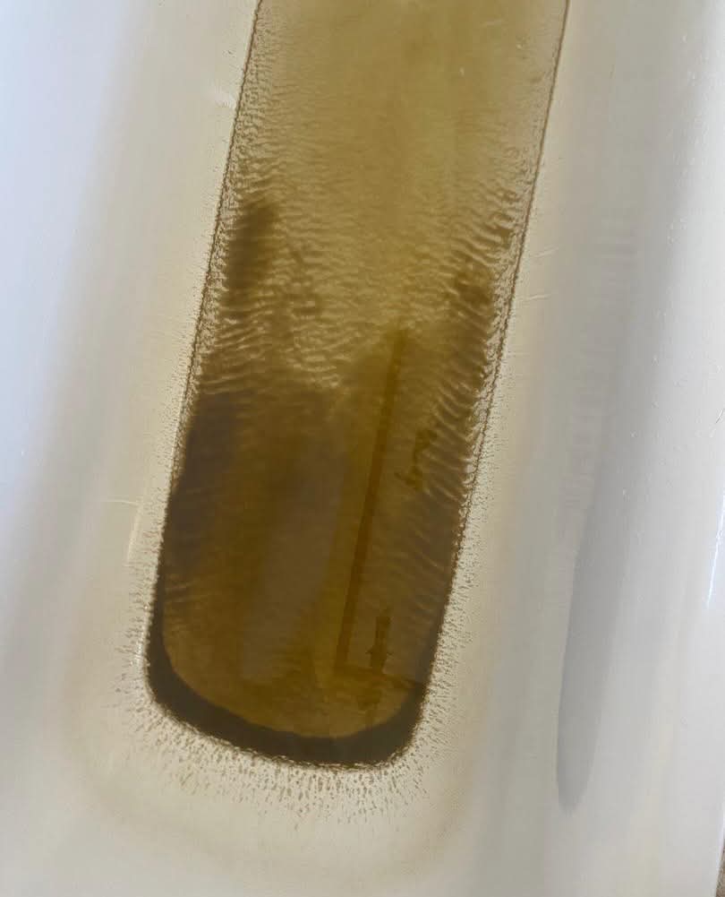 Noordoewer officials bemoan dirty water
