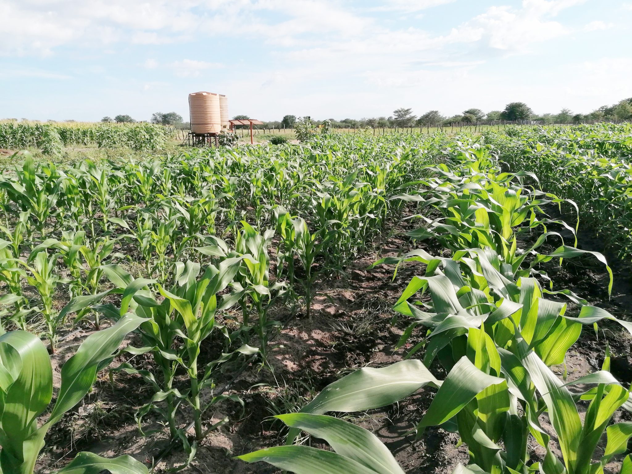 Otto Kapuka: Striving for purpose-driven farming