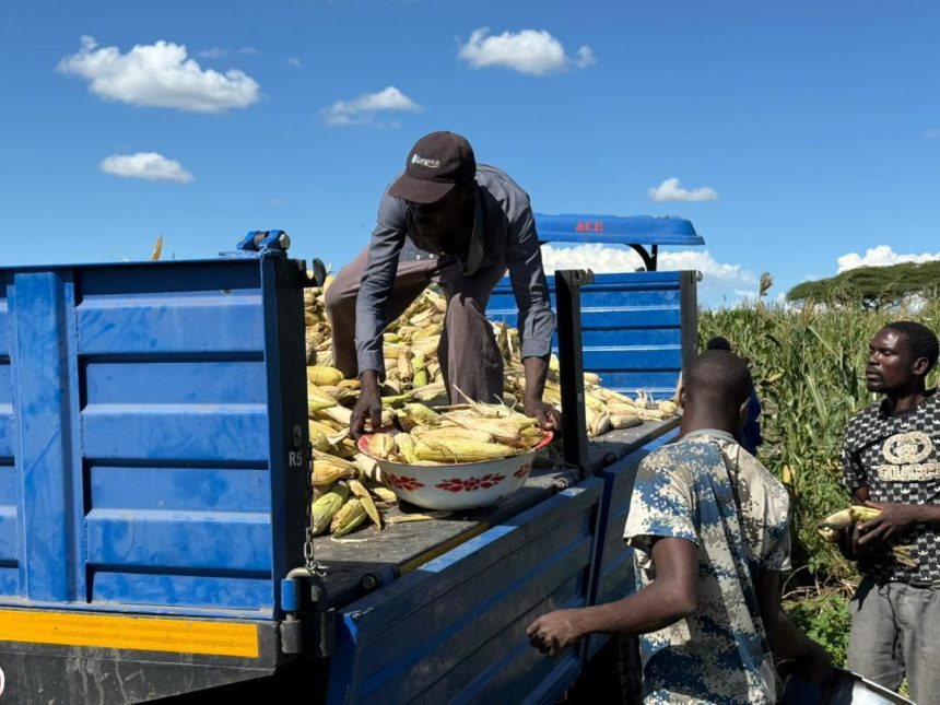 Public seek answers on N$40m US agriculture contract