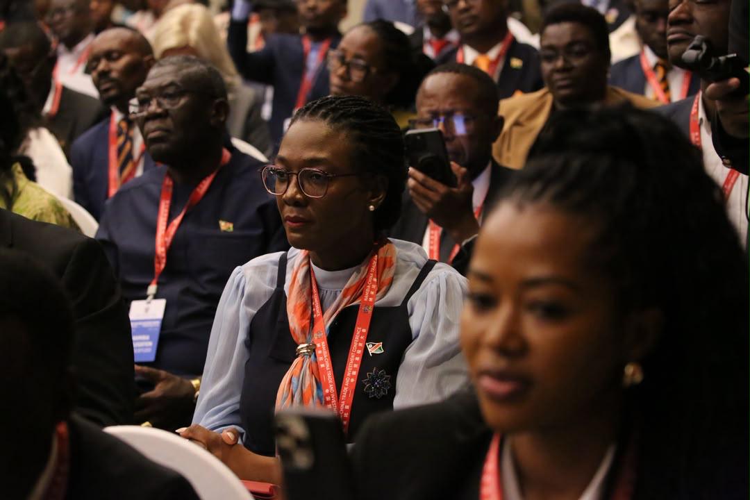 A glance into Namibia’s bag from China