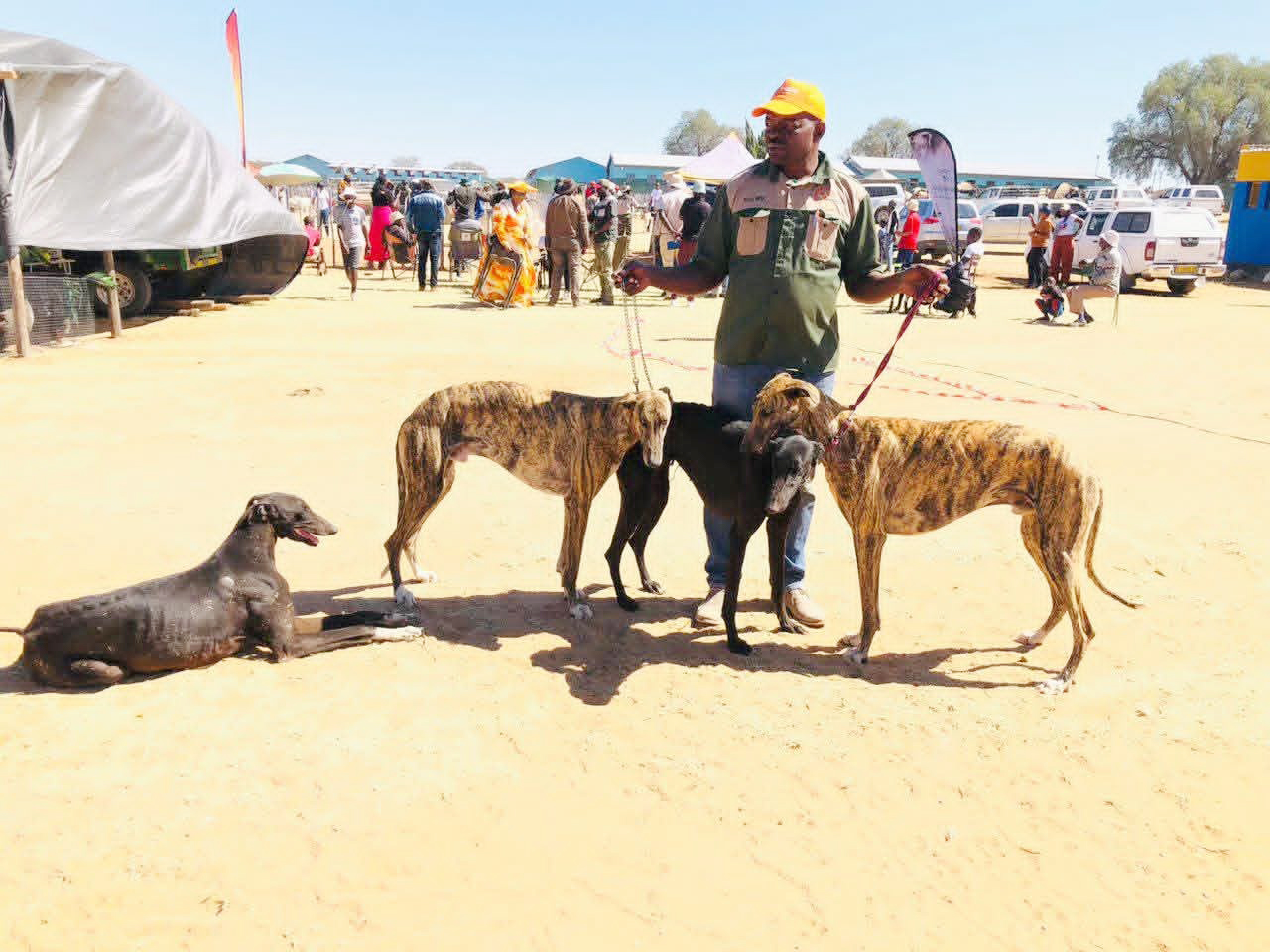 Muveri Kavari: Making a living from greyhound breeding …successful story of a canine breeder