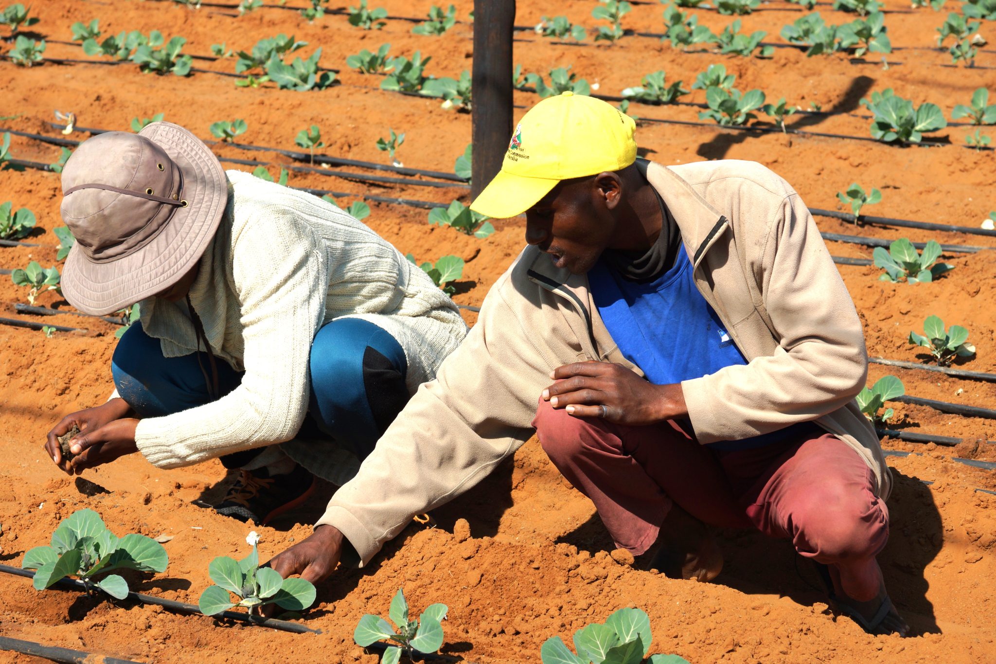 Govt beefs up food security
