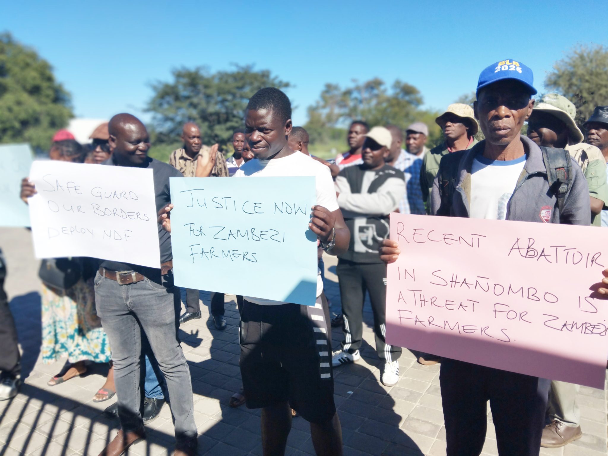 Zambezi farmers demonstrate over ZAMCO abattoir closure