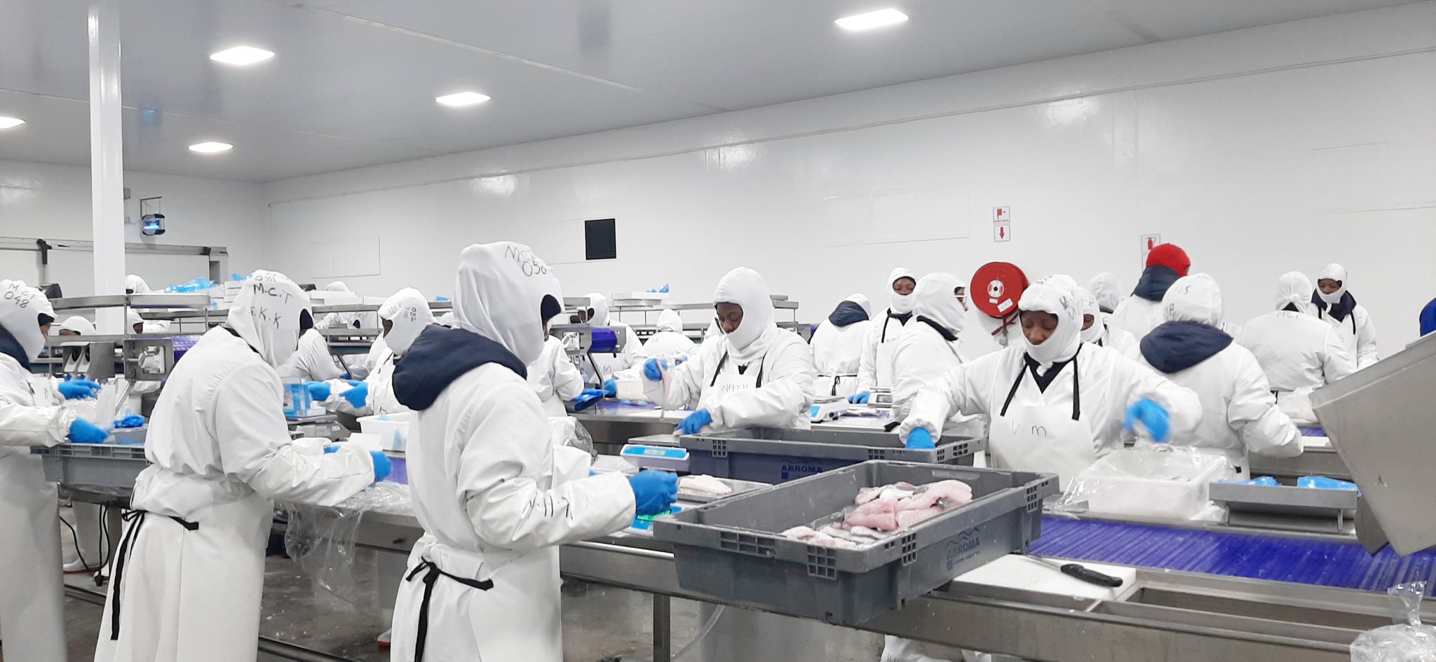 Govt to host fishing indaba