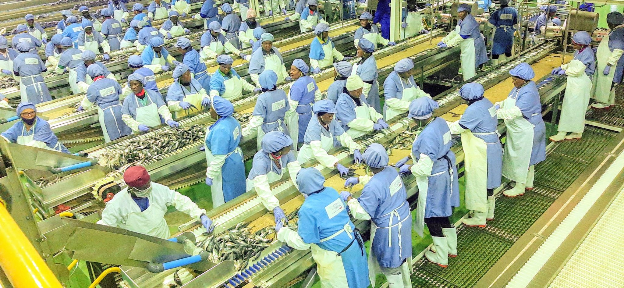 Industry enlists Namandje in anti-phosphate fight …our ocean isn’t for sale, says AR