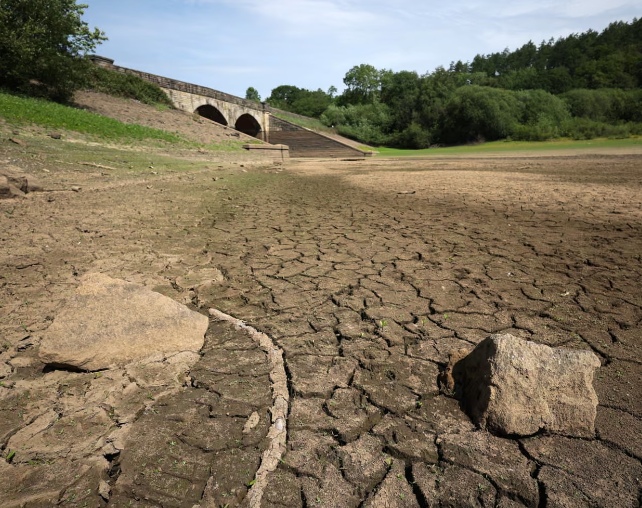 Food security fears mount as UK farmers battle drought