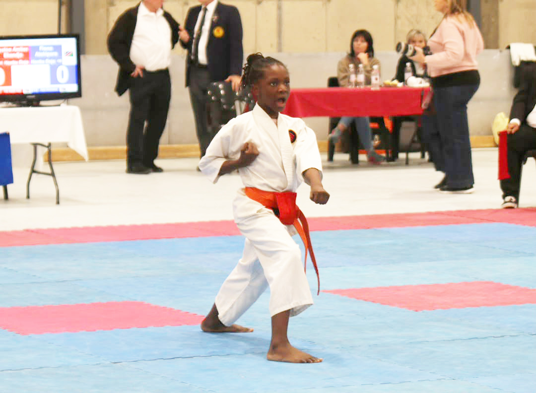 Karatekas shine at annual Goju-Ryu championships